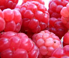 Alimentazione yogica