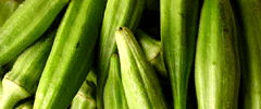 Perch� vegetariani