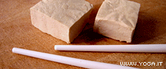 Il tofu