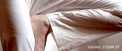 Cos'� l'hatha Yoga?