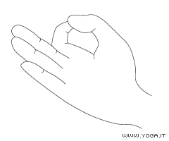 Jnana mudr�