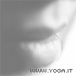 Cos'� il pr�n�y�ma?
