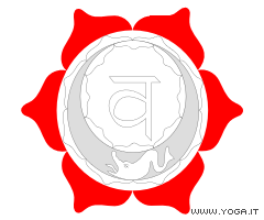 Sv�dhisth�na chakra
