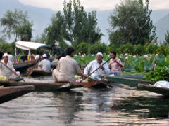 Lago Dal